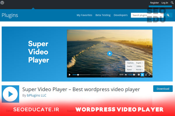 WordPress Video Player