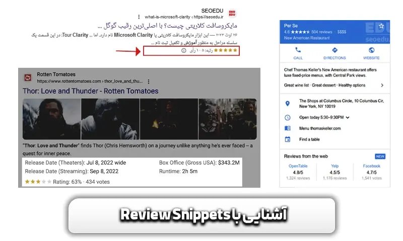 آموزش Review snippets در سرچ کنسول + تصویر 4 آشنایی با Review snippets