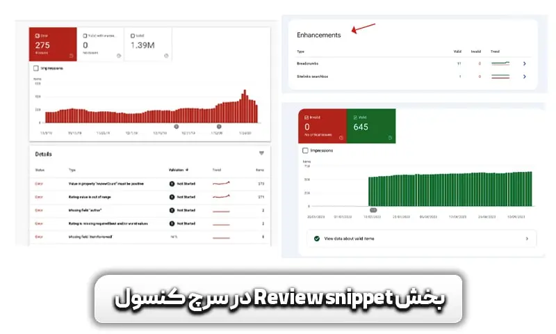 آموزش Review snippets در سرچ کنسول + تصویر 6 بخش رویو سرچ کنسول