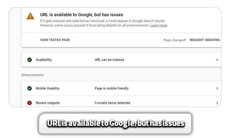 URL is available to Google, but has issues