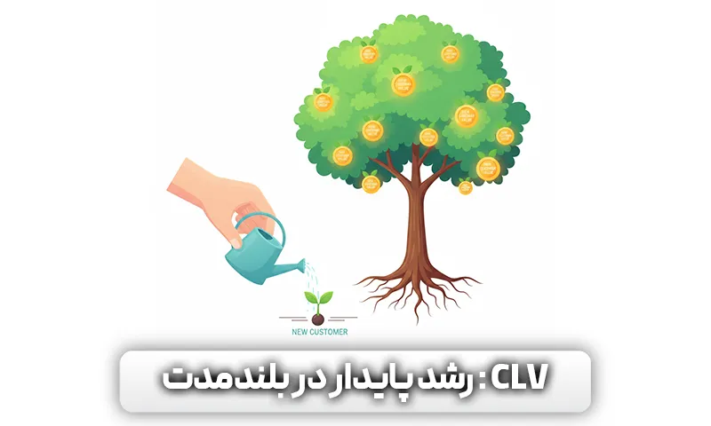 رشد مشتری و افزایش ارزش طول عمر (CLV) در باشگاه مشتریان